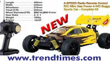 Nitro RC Car 2 Speed Buggy 1/10 Scale Free Shipping